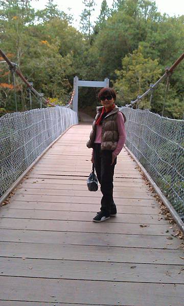 IMAG0130-1.jpg IMAG0130-1.jpg