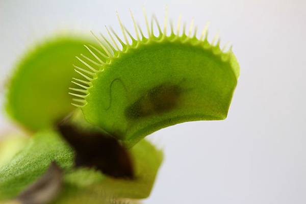 IMG_2999.jpg IMG_2999.jpg