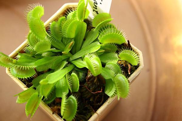 IMG_3021.jpg IMG_3021.jpg