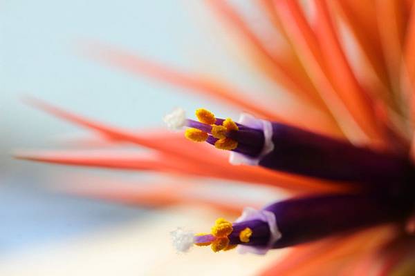 IMG_1620.jpg IMG_1620.jpg