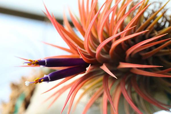 IMG_1624.jpg IMG_1624.jpg