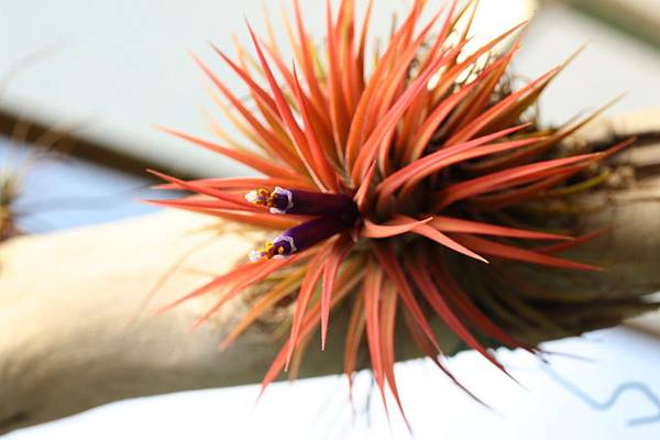 IMG_1629.jpg IMG_1629.jpg