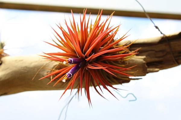 IMG_1638.jpg IMG_1638.jpg