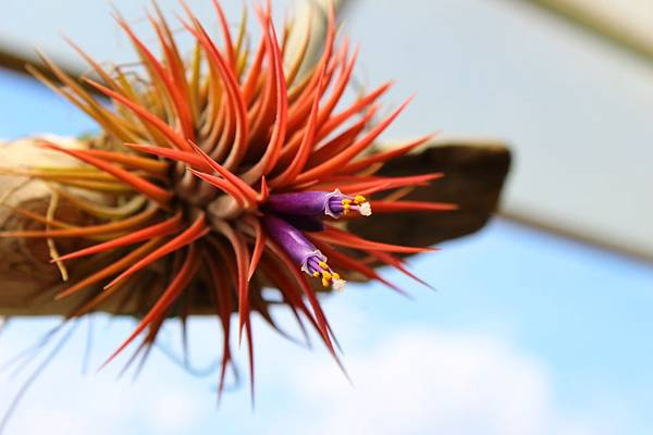 IMG_1639.jpg IMG_1639.jpg