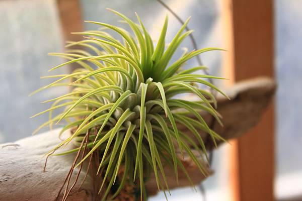 IMG_2826.jpg IMG_2826.jpg