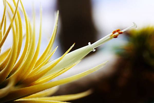 IMG_6044.jpg IMG_6044.jpg