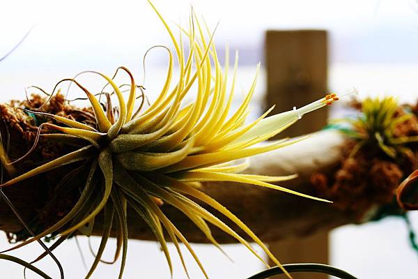 IMG_6048.jpg IMG_6048.jpg