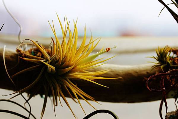 IMG_6050.jpg IMG_6050.jpg