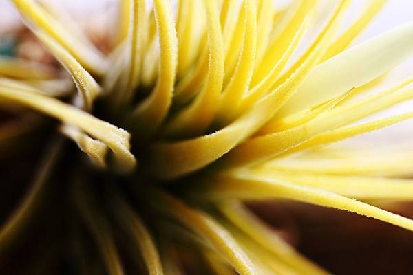 IMG_6053.jpg IMG_6053.jpg