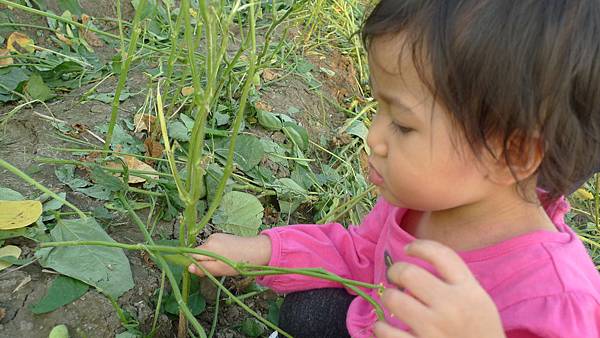 P1170324.JPG P1170324.JPG