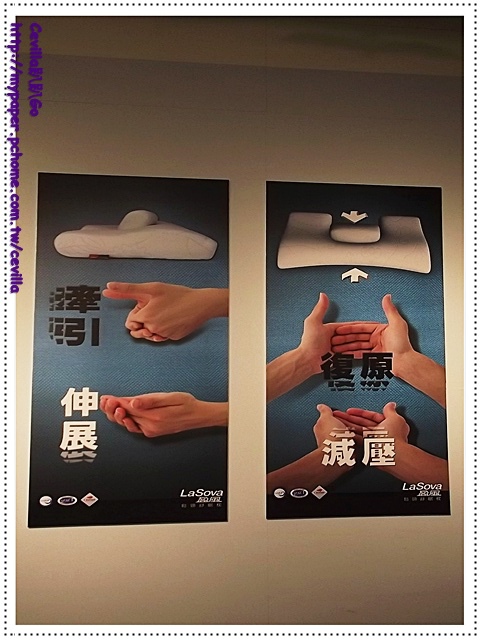 DSCF9532 DSCF9532