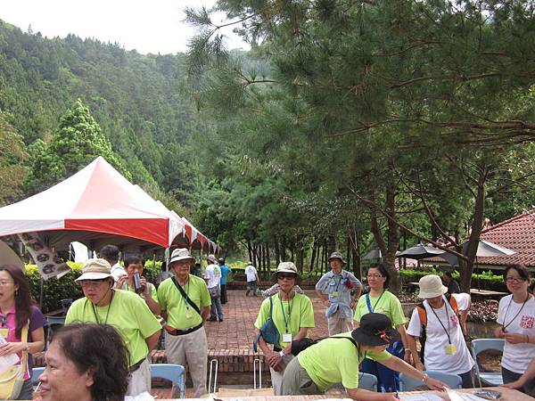 IMG_2706 IMG_2706