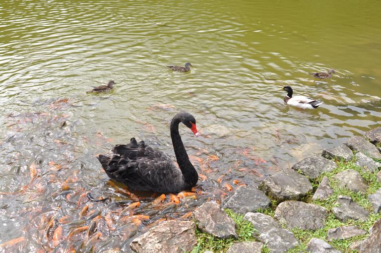 768DSC_0176 768DSC_0176
