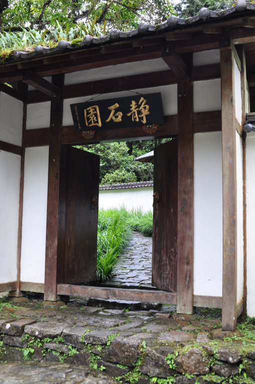 768DSC_0234 768DSC_0234