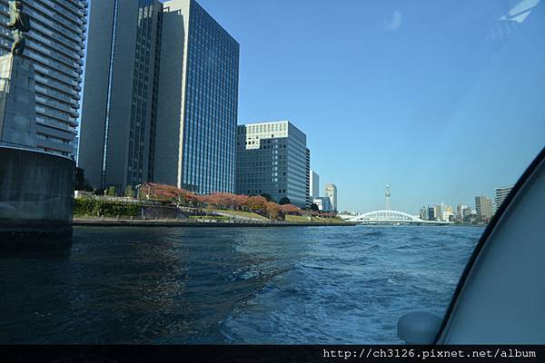 东京浅草水上巴士HIMIKO 台场赏枫之行 - 找景
