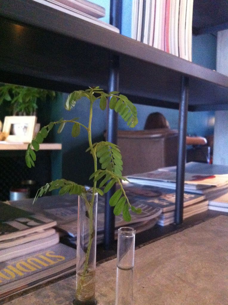 Photo 12-10-6 下午2 38 46