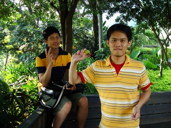 春天酒店 - 果子.jpg