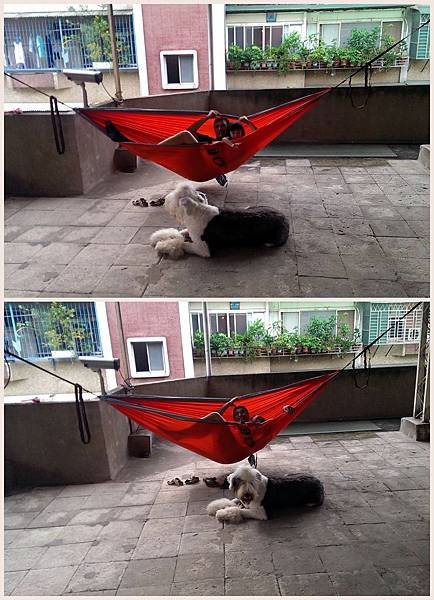 20130619吊床.jpg