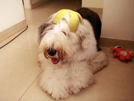 IMG_3644.JPG IMG_3644.JPG