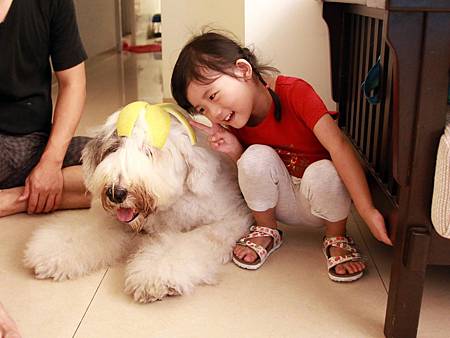 IMG_3534.JPG IMG_3534.JPG