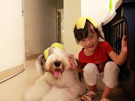 IMG_3555.JPG IMG_3555.JPG