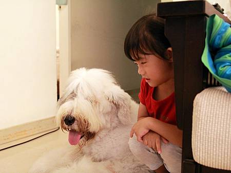 IMG_3578.JPG IMG_3578.JPG