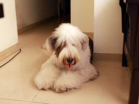 IMG_3584.JPG IMG_3584.JPG