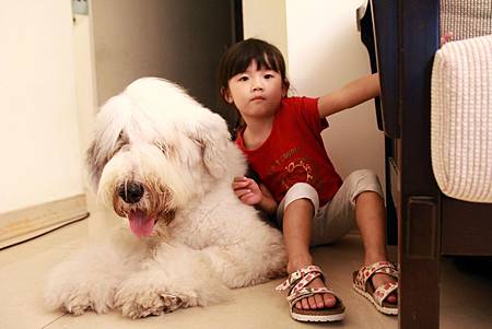 IMG_3603.JPG IMG_3603.JPG