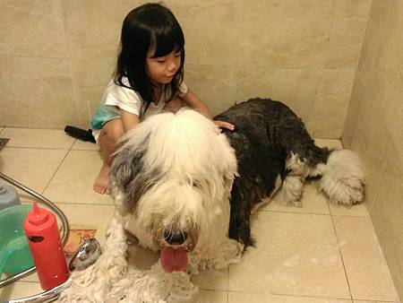 2013-09-23 08.21.06.jpg 2013-09-23 08.21.06.jpg