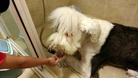 IMAG0858.jpg IMAG0858.jpg