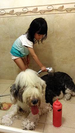 2013-09-23 08.17.07.jpg 2013-09-23 08.17.07.jpg