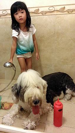 2013-09-23 08.17.08.jpg 2013-09-23 08.17.08.jpg