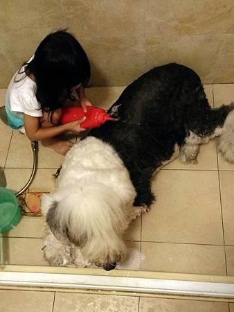 2013-09-23 08.18.17.jpg 2013-09-23 08.18.17.jpg