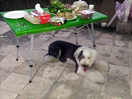 2013-08-31 17.27.27.jpg 2013-08-31 17.27.27.jpg