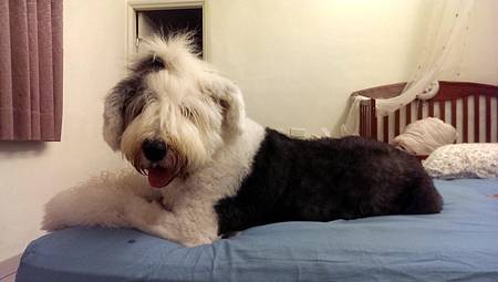 IMAG2130.jpg IMAG2130.jpg