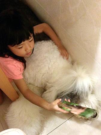 2013-08-20 20.35.46.jpg 2013-08-20 20.35.46.jpg