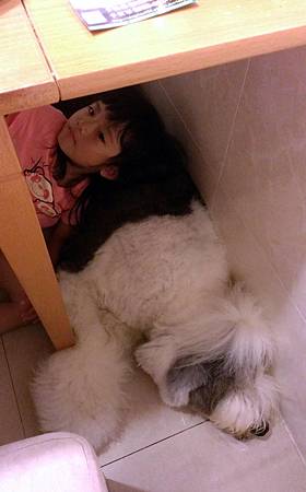 IMAG2198.jpg IMAG2198.jpg