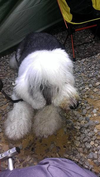 IMAG4038.jpg IMAG4038.jpg