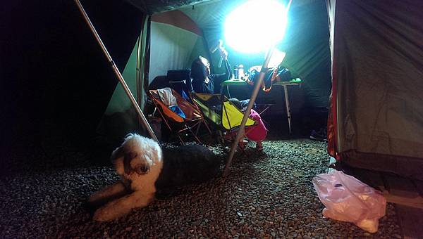 IMAG2627.jpg IMAG2627.jpg