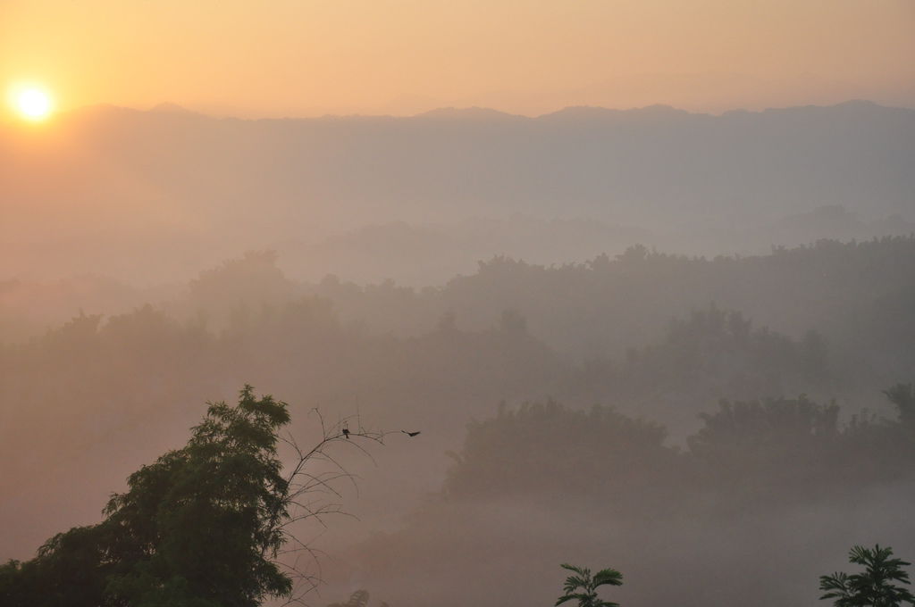 DSC_0270.JPG DSC_0270.JPG