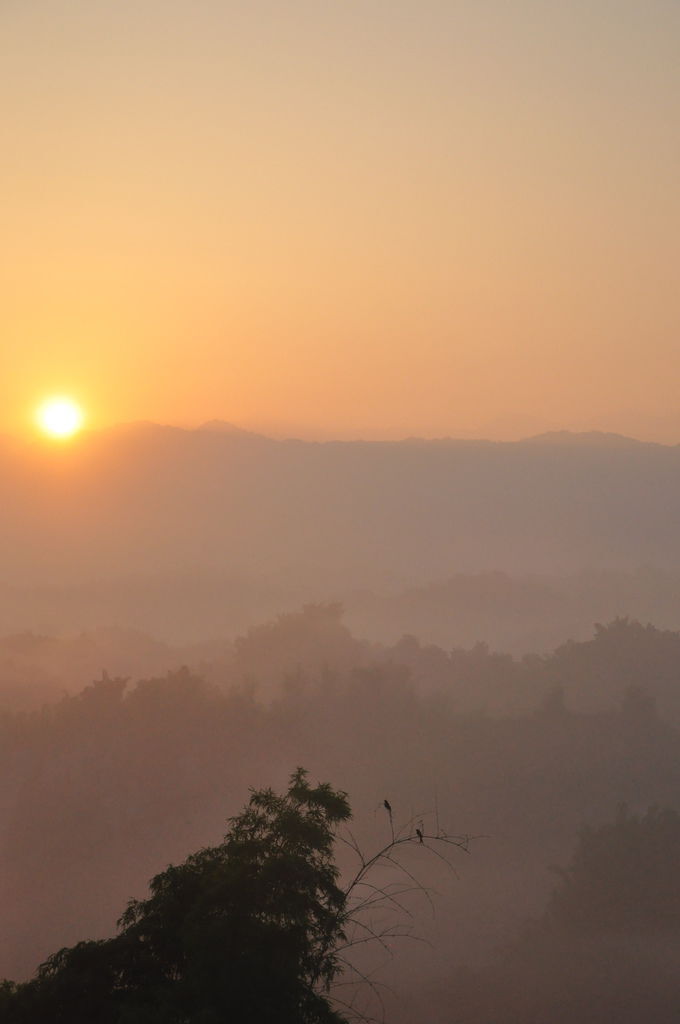 DSC_0271.jpg DSC_0271.jpg