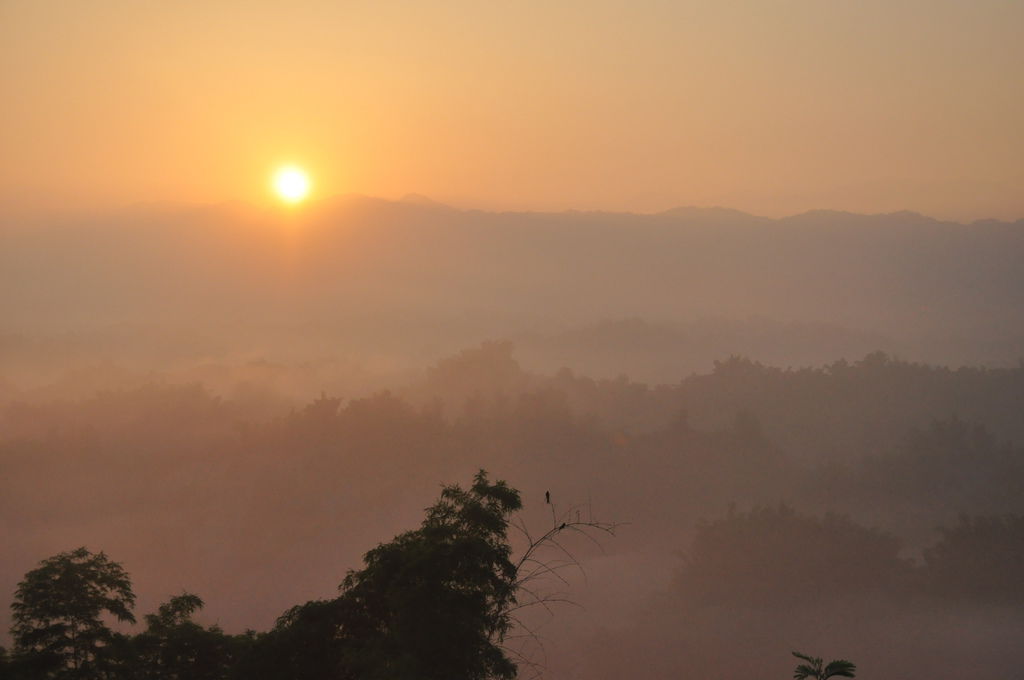 DSC_0277.JPG DSC_0277.JPG