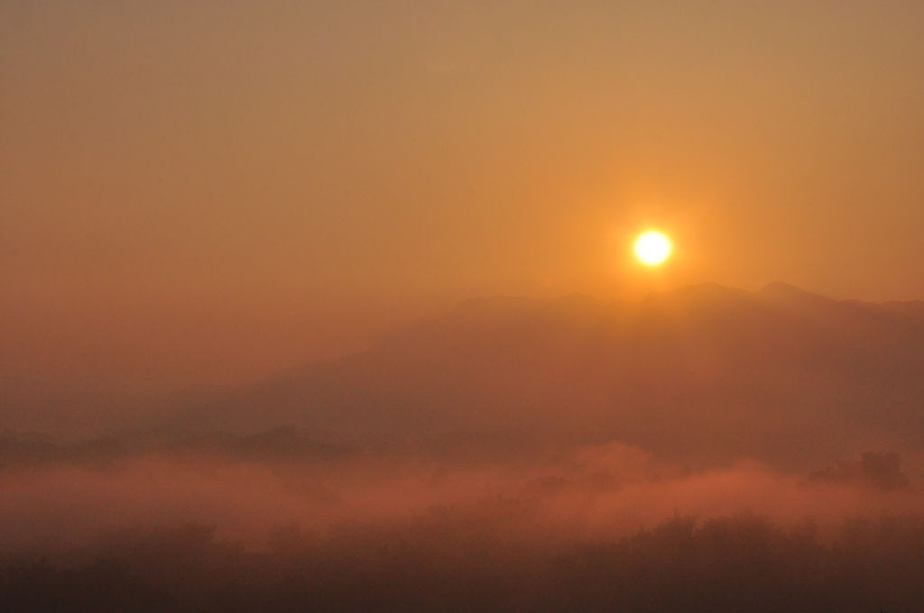 DSC_0287.JPG DSC_0287.JPG