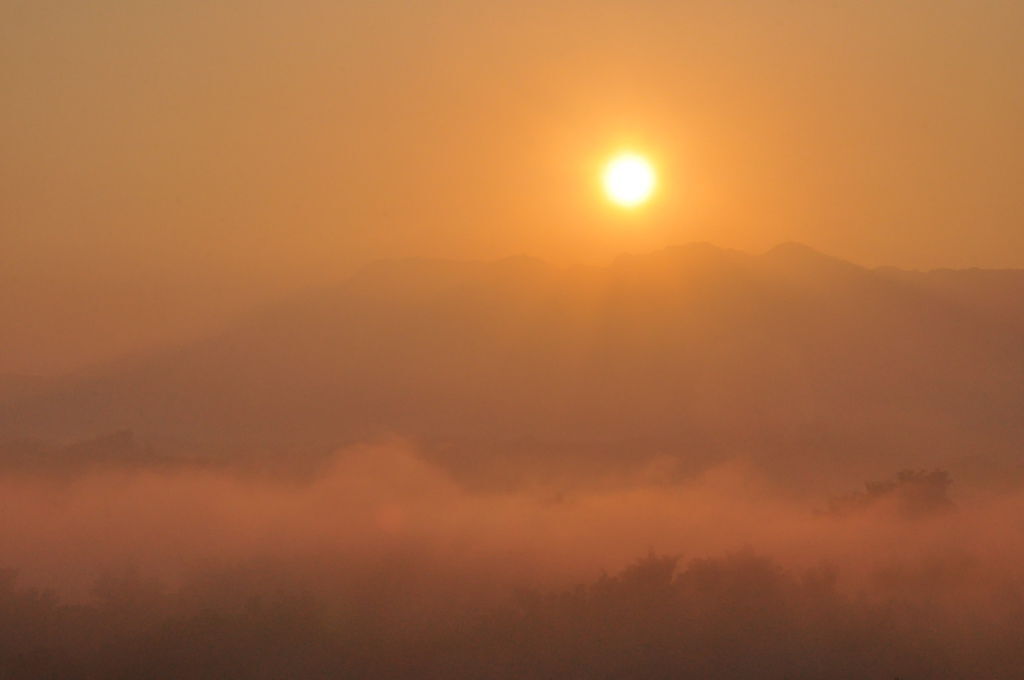 DSC_0290.JPG DSC_0290.JPG