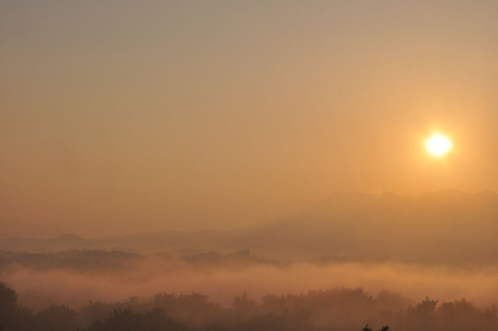 DSC_0310.JPG DSC_0310.JPG