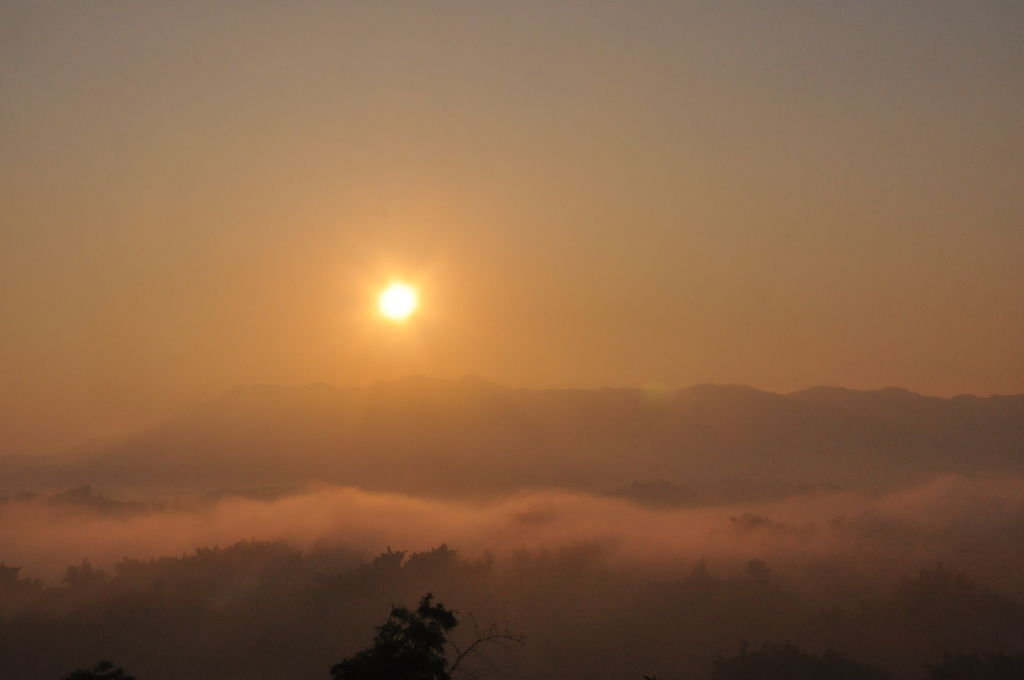 DSC_0314.JPG DSC_0314.JPG