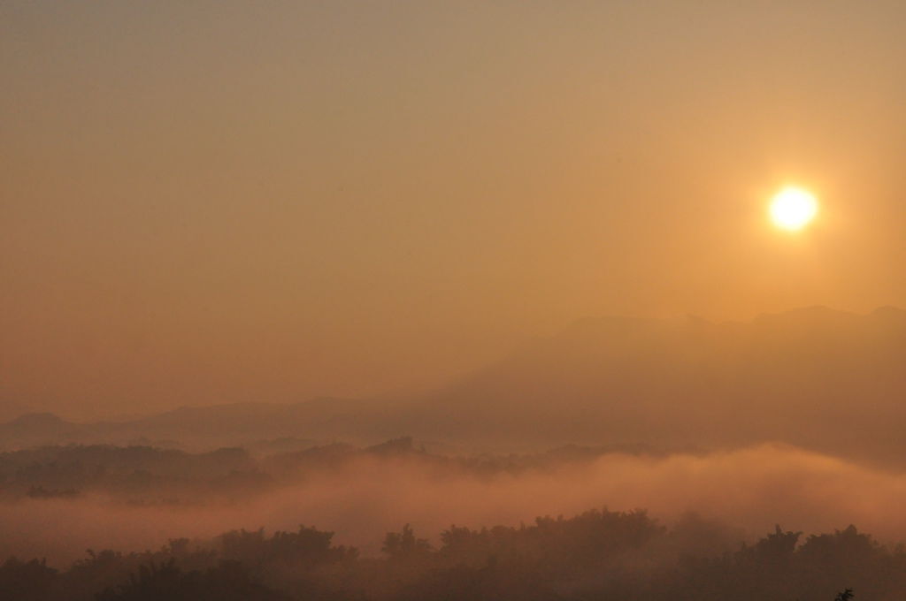 DSC_0316.JPG DSC_0316.JPG