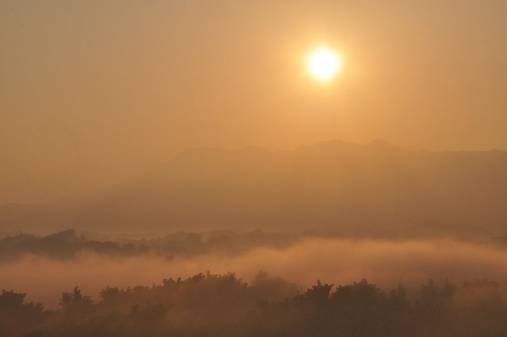 DSC_0325.JPG DSC_0325.JPG