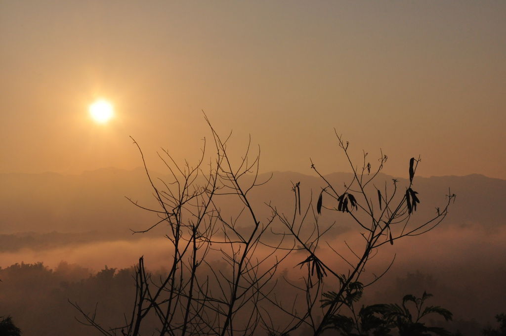 DSC_0328.JPG DSC_0328.JPG