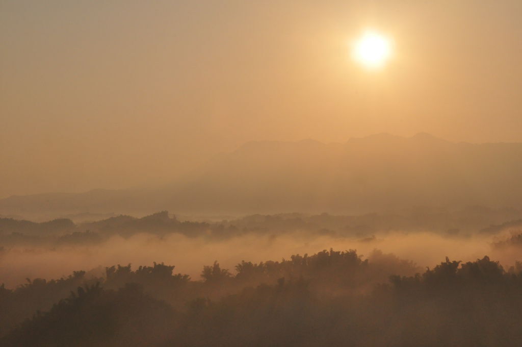 DSC_0333.JPG DSC_0333.JPG